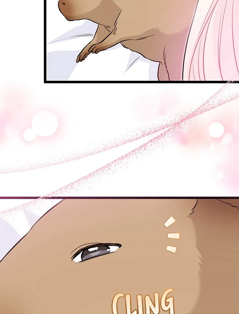 Read Little Rabbit and the Big Bad Leopard FR Manga Online