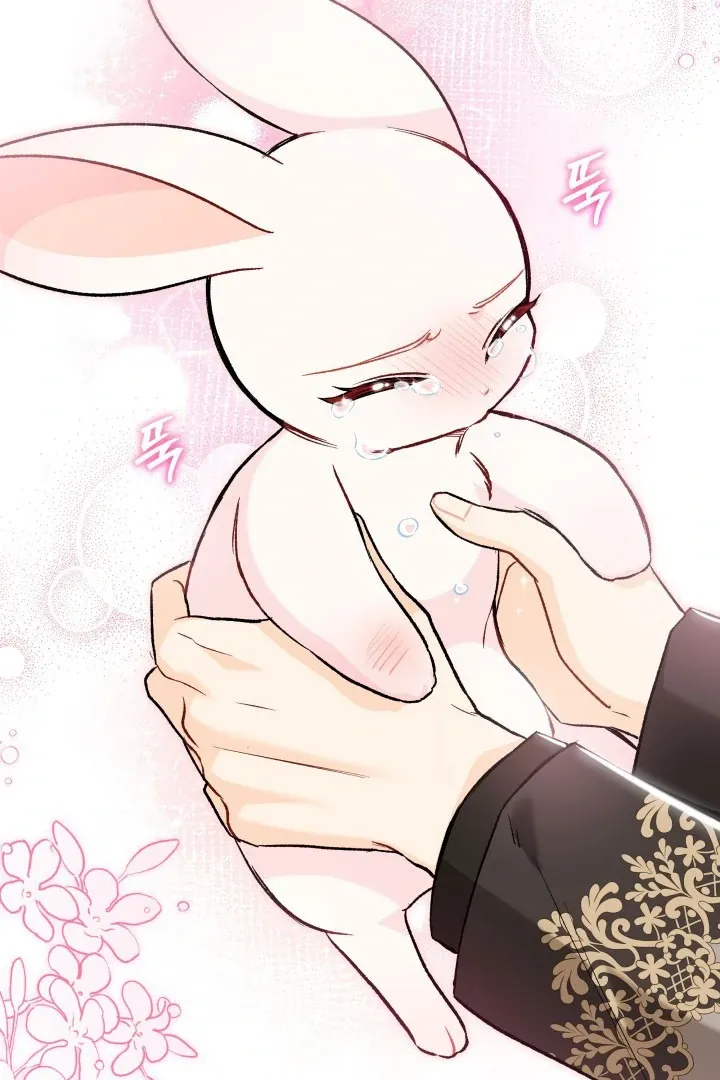 Read Little Rabbit and the Big Bad Leopard FR Manga Online