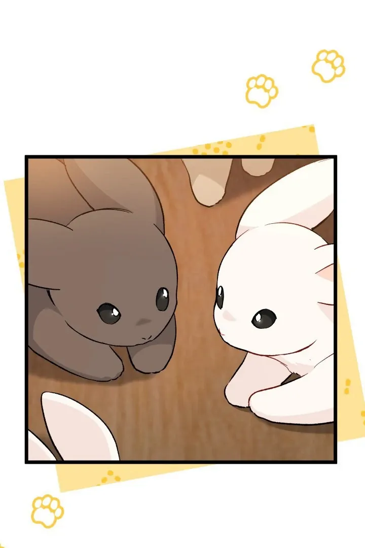 Read Little Rabbit and the Big Bad Leopard FR Manga Online
