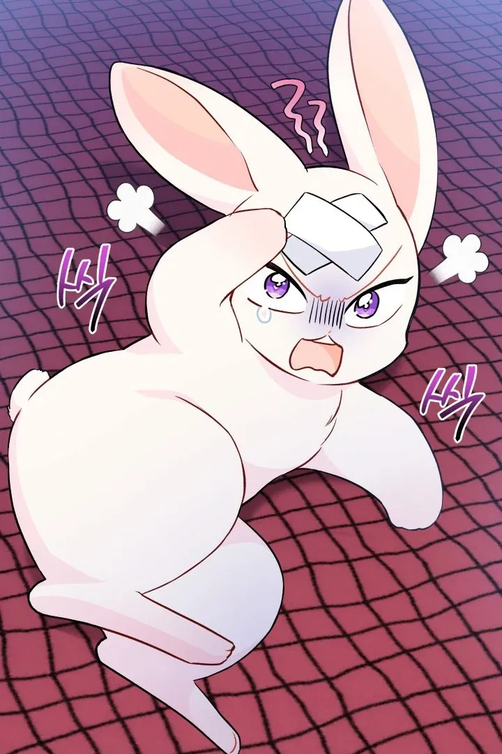 Read Little Rabbit and the Big Bad Leopard FR Manga Online