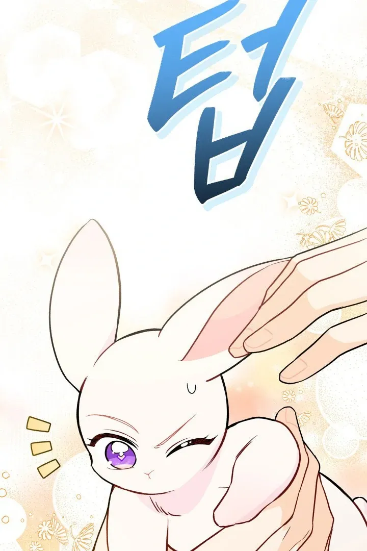 Read Little Rabbit and the Big Bad Leopard FR Manga Online