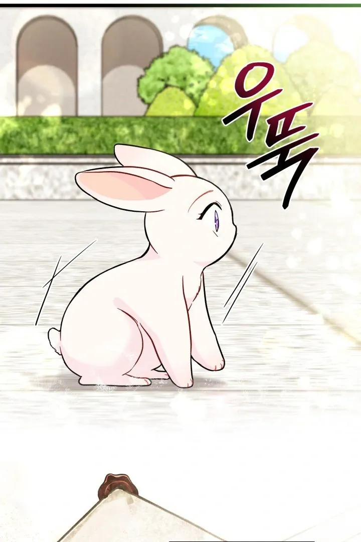 Read Little Rabbit and the Big Bad Leopard FR Manga Online