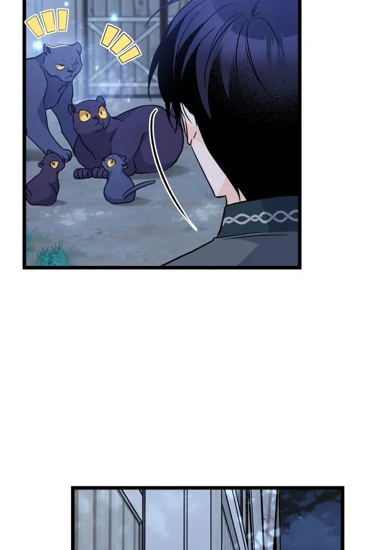 Read Little Rabbit and the Big Bad Leopard FR Manga Online