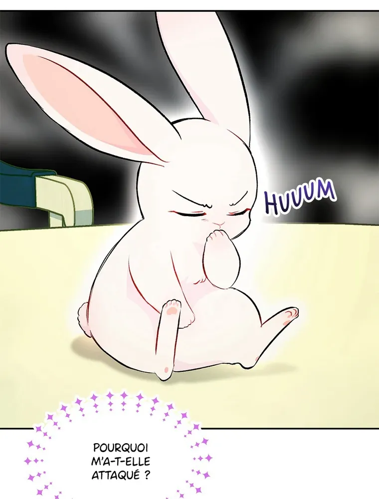 Read Little Rabbit and the Big Bad Leopard FR Manga Online