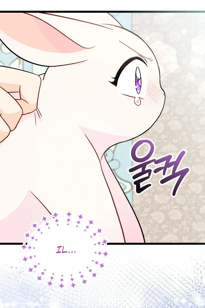 Read Little Rabbit and the Big Bad Leopard FR Manga Online
