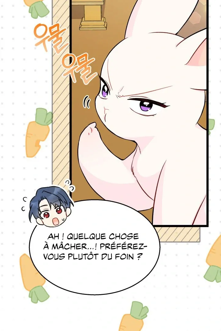 Read Little Rabbit and the Big Bad Leopard FR Manga Online