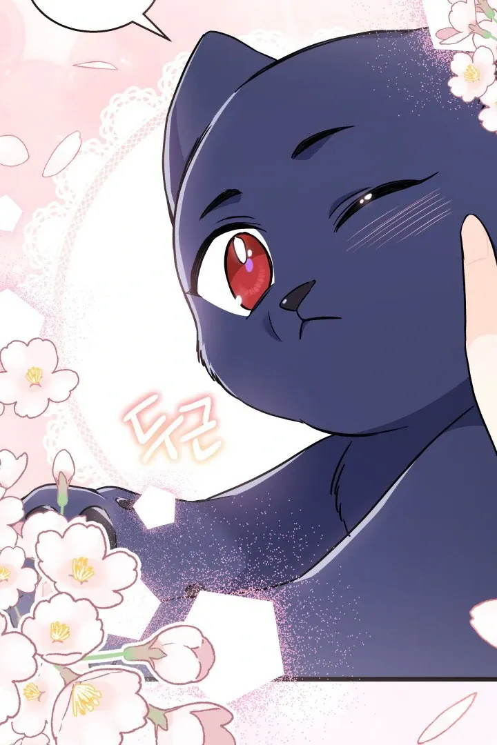 Read Little Rabbit and the Big Bad Leopard FR Manga Online