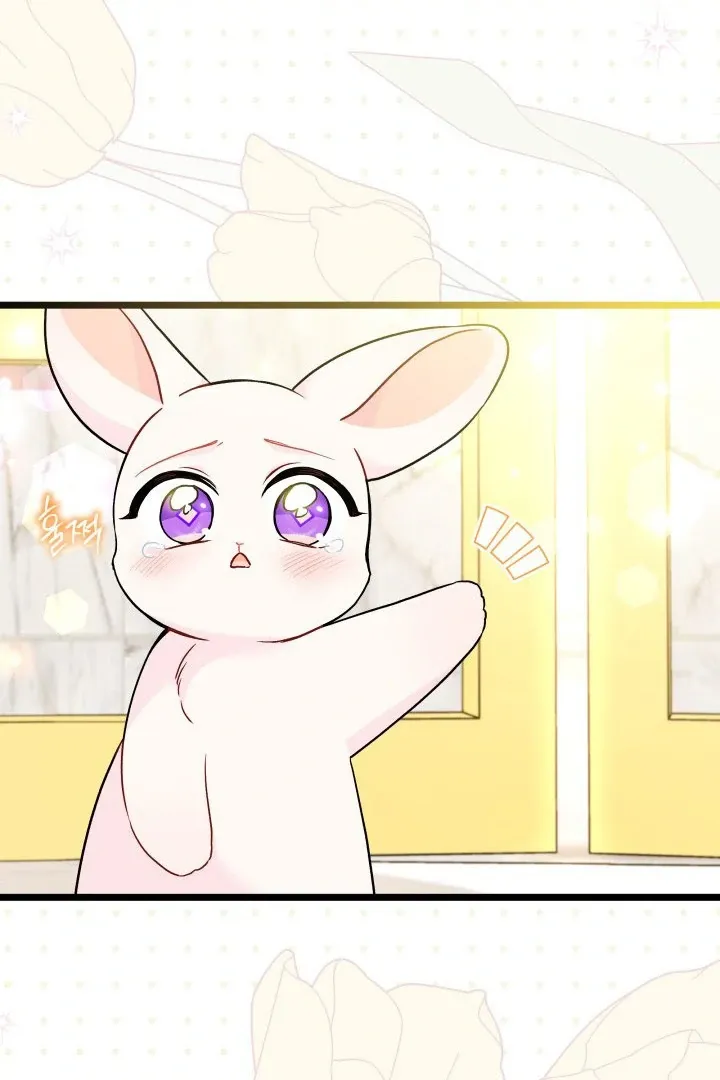 Read Little Rabbit and the Big Bad Leopard FR Manga Online