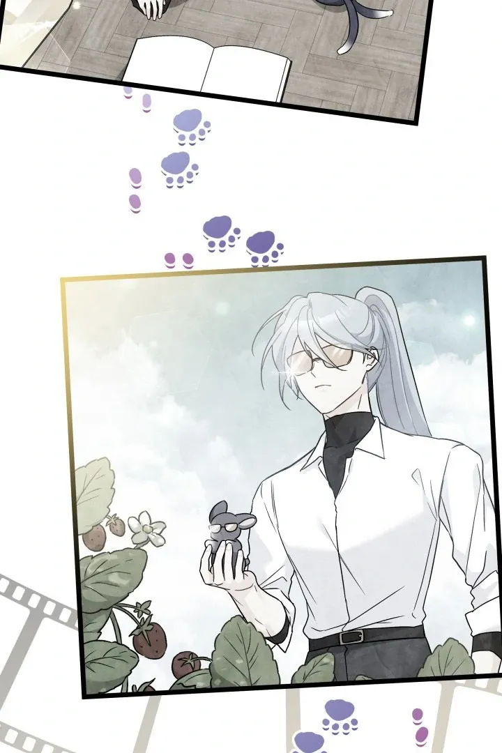 Read Little Rabbit and the Big Bad Leopard FR Manga Online
