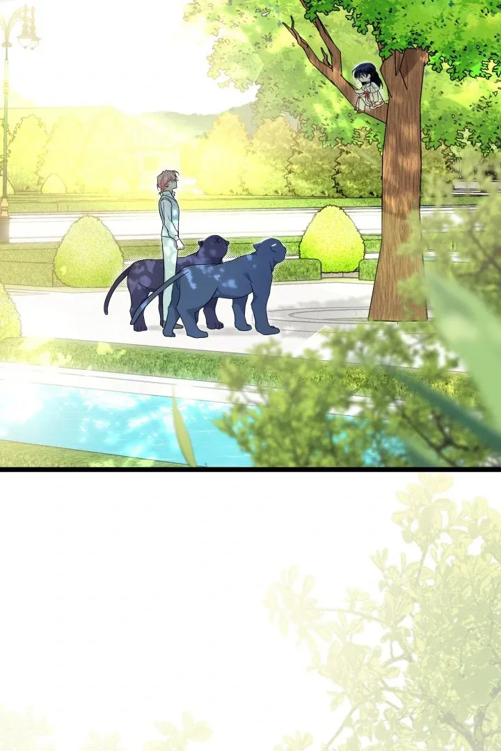 Read Little Rabbit and the Big Bad Leopard FR Manga Online