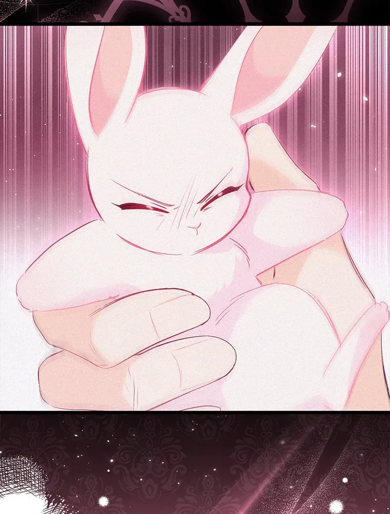 Read Little Rabbit and the Big Bad Leopard FR Manga Online