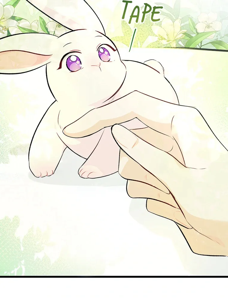 Read Little Rabbit and the Big Bad Leopard FR Manga Online
