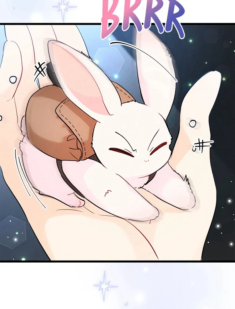 Read Little Rabbit and the Big Bad Leopard FR Manga Online