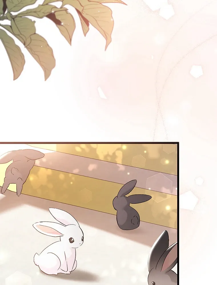 Read Little Rabbit and the Big Bad Leopard FR Manga Online