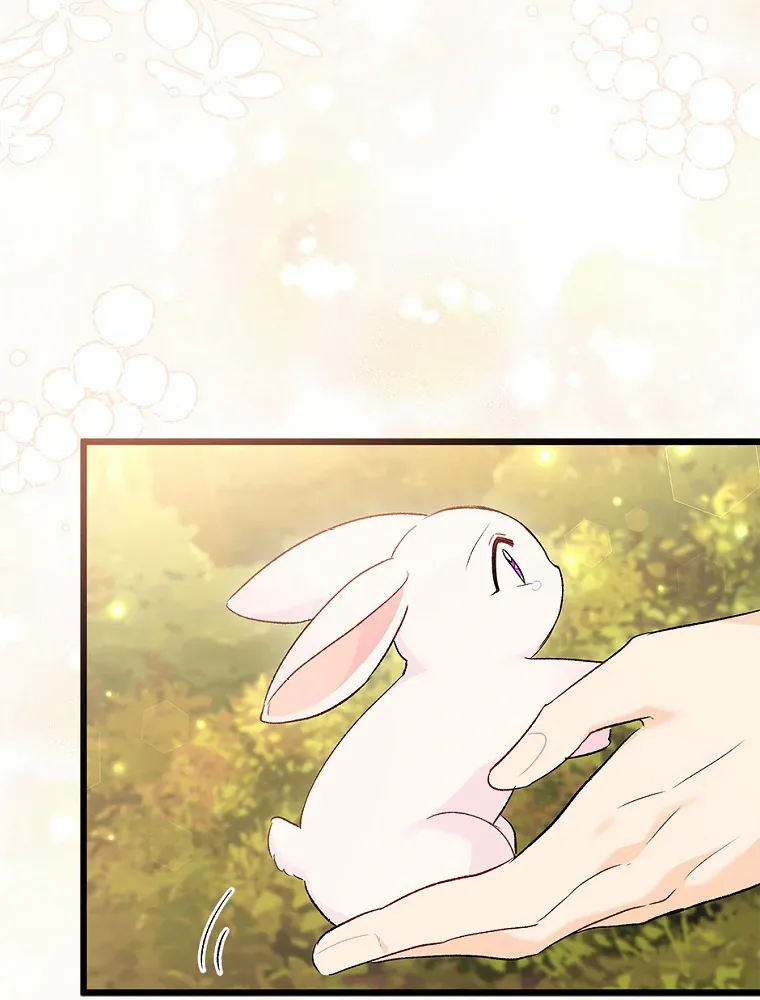 Read Little Rabbit and the Big Bad Leopard FR Manga Online
