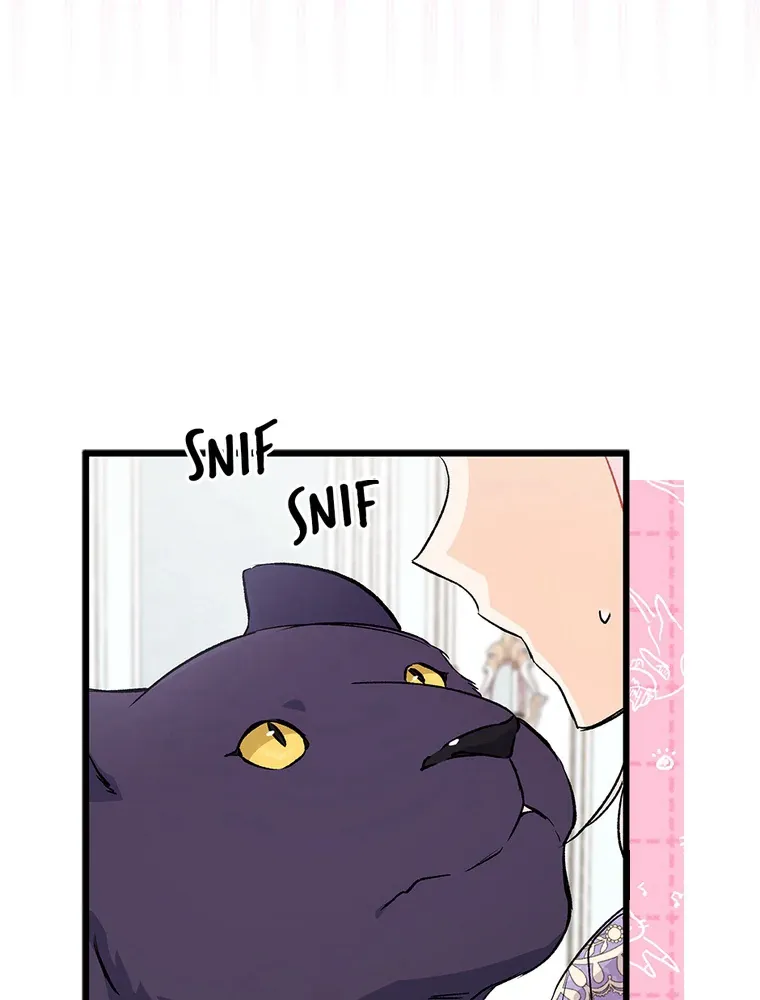 Read Little Rabbit and the Big Bad Leopard FR Manga Online