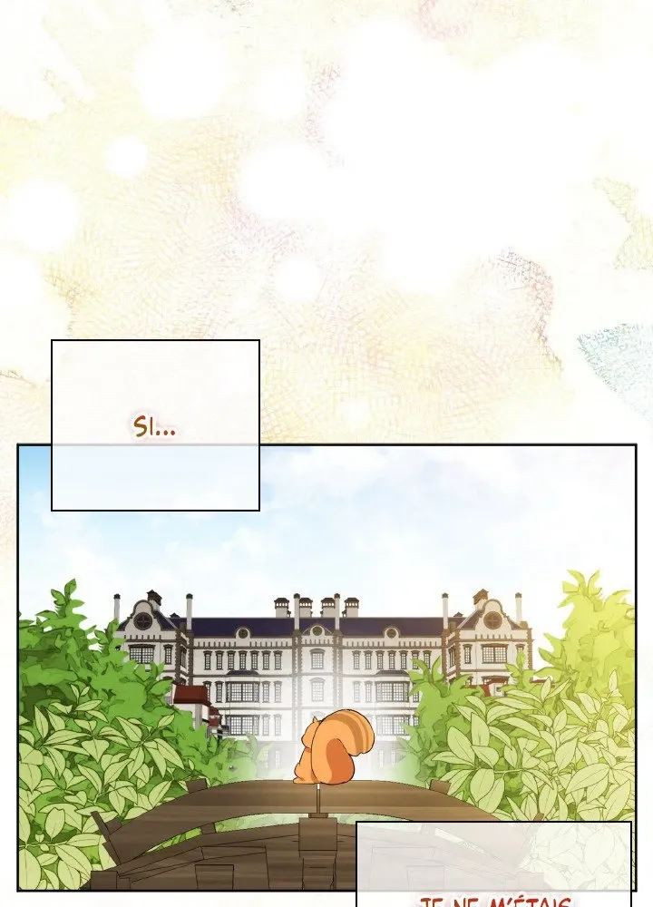 Read Talented Baby Squirrel FR Manga Online