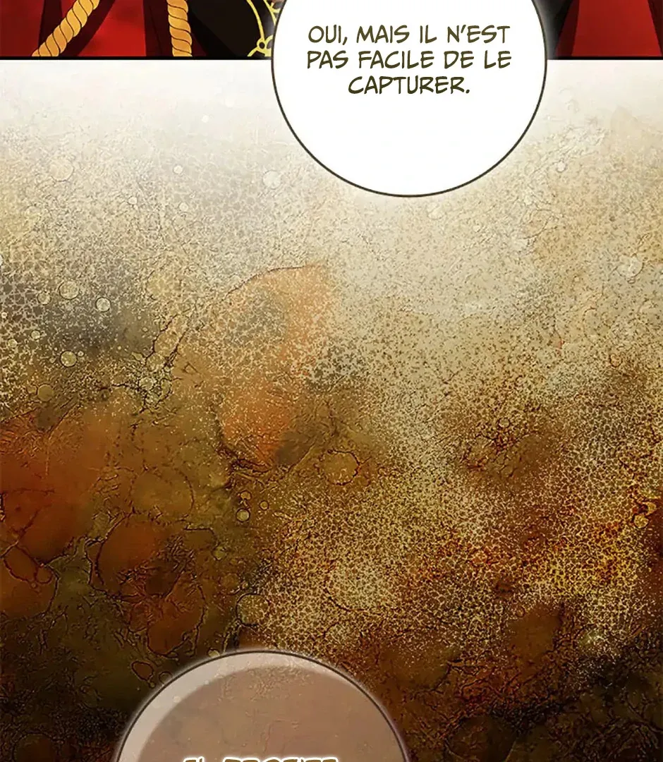 Read Talented Baby Squirrel FR Manga Online
