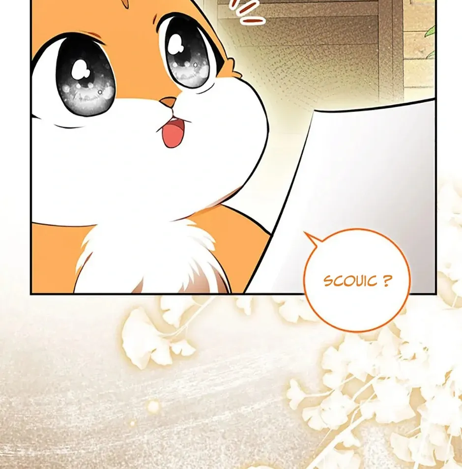 Read Talented Baby Squirrel FR Manga Online