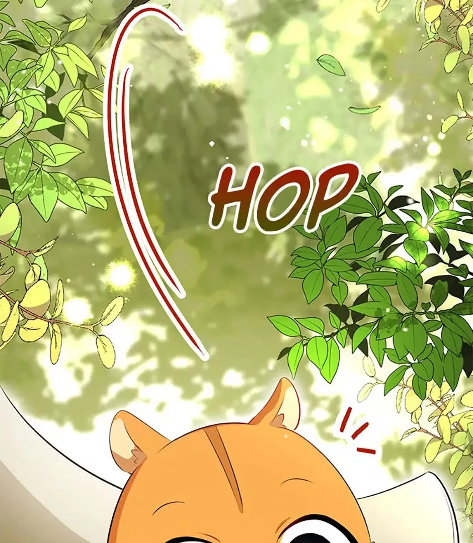 Read Talented Baby Squirrel FR Manga Online