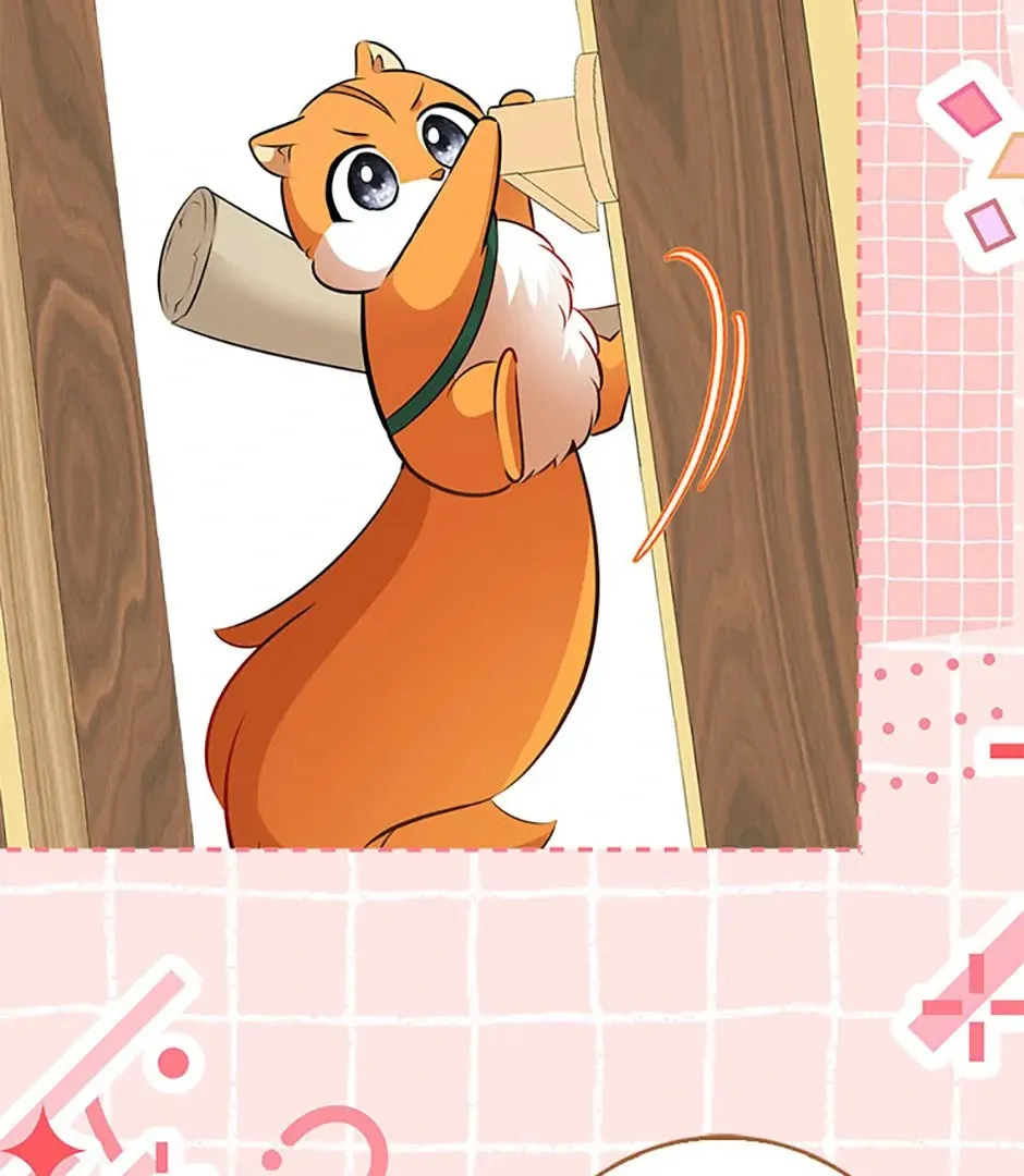 Read Talented Baby Squirrel FR Manga Online