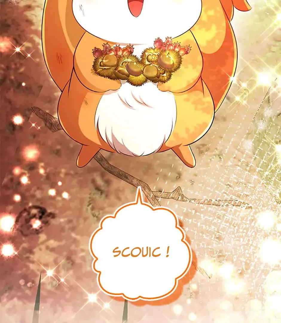 Read Talented Baby Squirrel FR Manga Online