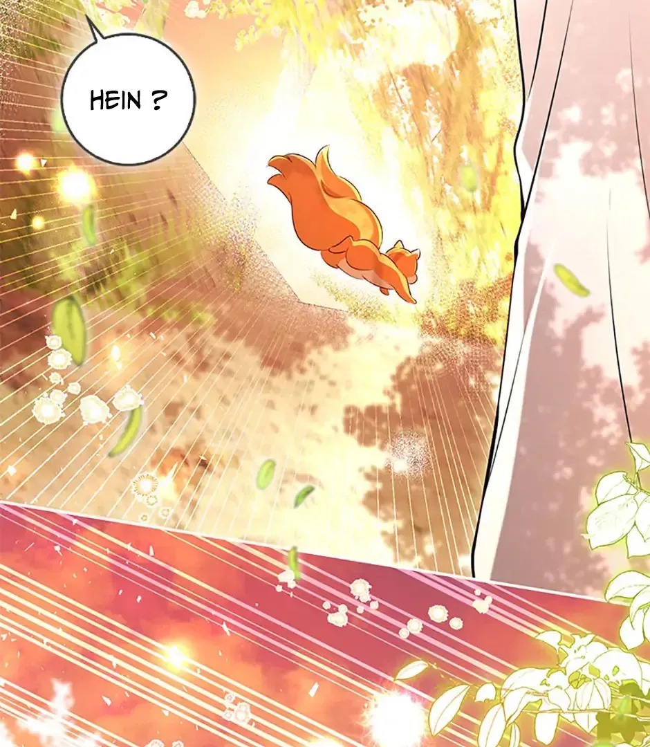Read Talented Baby Squirrel FR Manga Online
