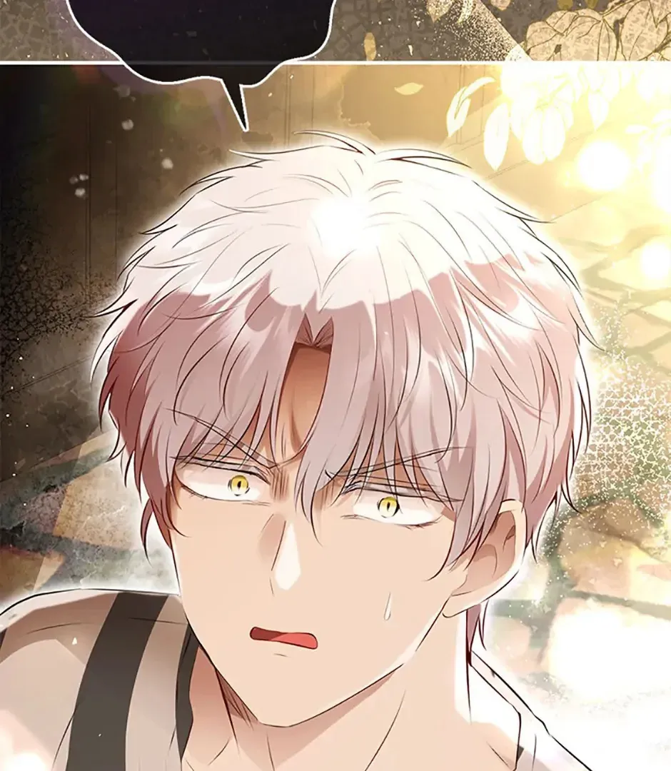Read Talented Baby Squirrel FR Manga Online