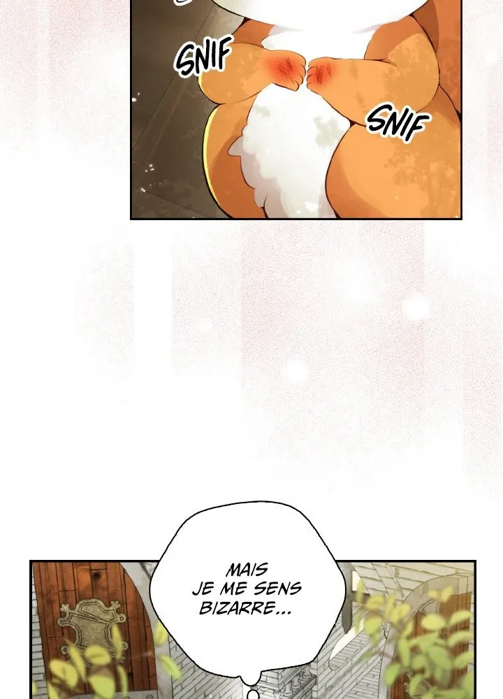 Read Talented Baby Squirrel FR Manga Online