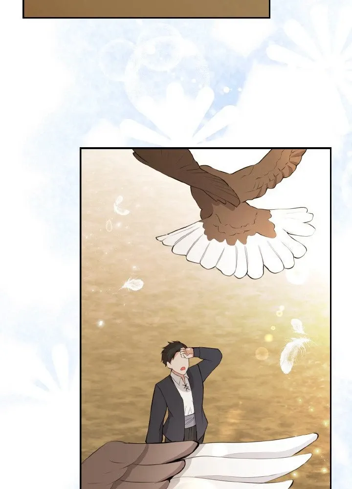 Read Talented Baby Squirrel FR Manga Online