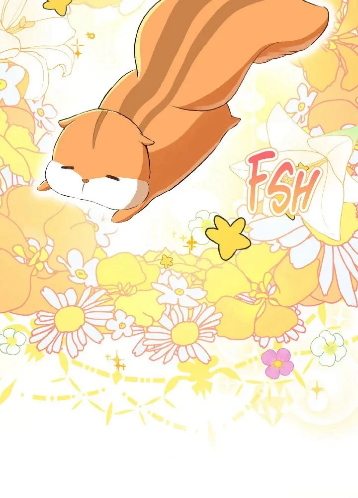 Read Talented Baby Squirrel FR Manga Online