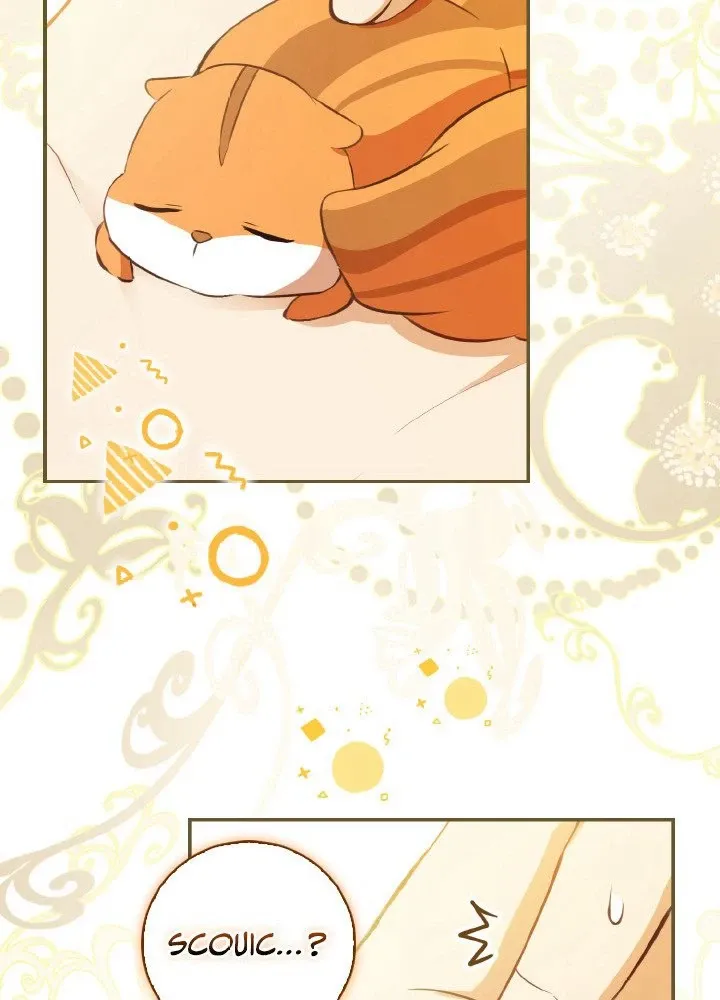 Read Talented Baby Squirrel FR Manga Online