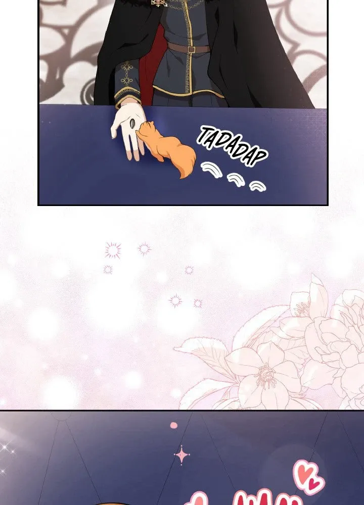 Read Talented Baby Squirrel FR Manga Online