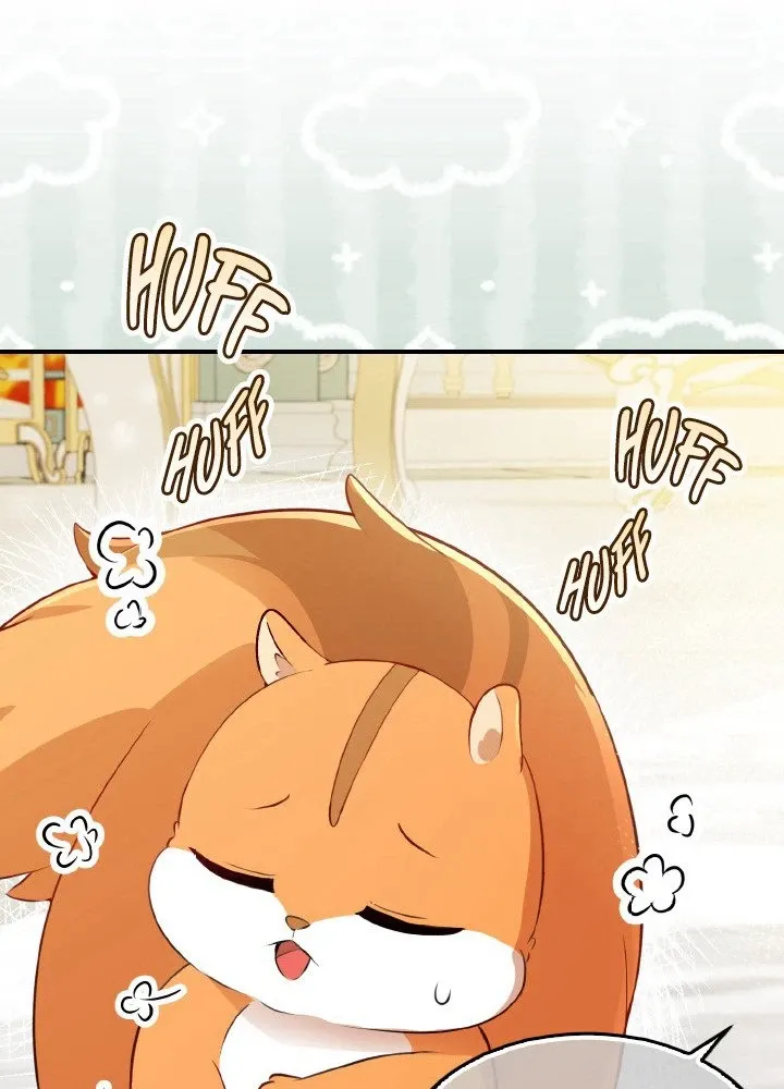 Read Talented Baby Squirrel FR Manga Online