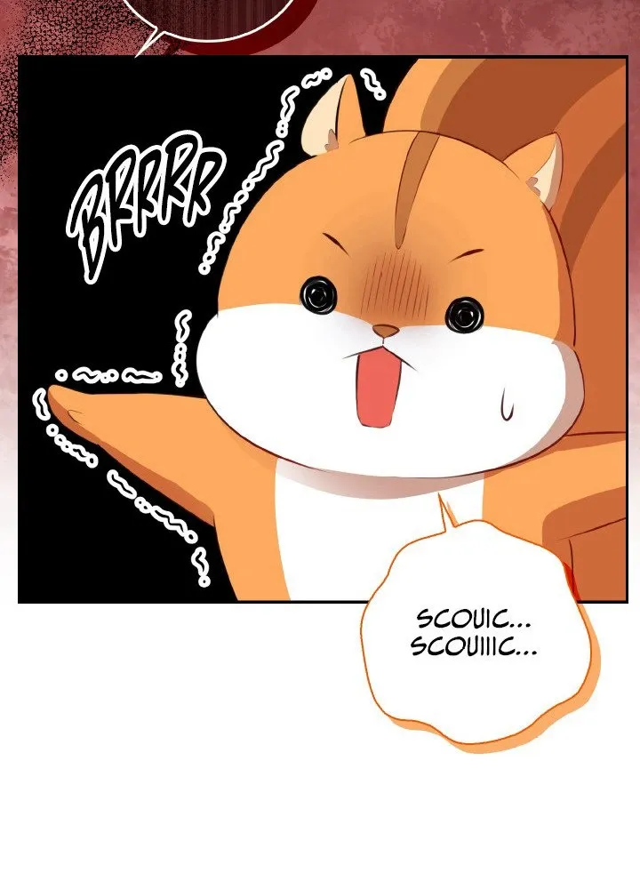 Read Talented Baby Squirrel FR Manga Online