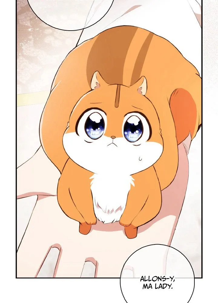 Read Talented Baby Squirrel FR Manga Online