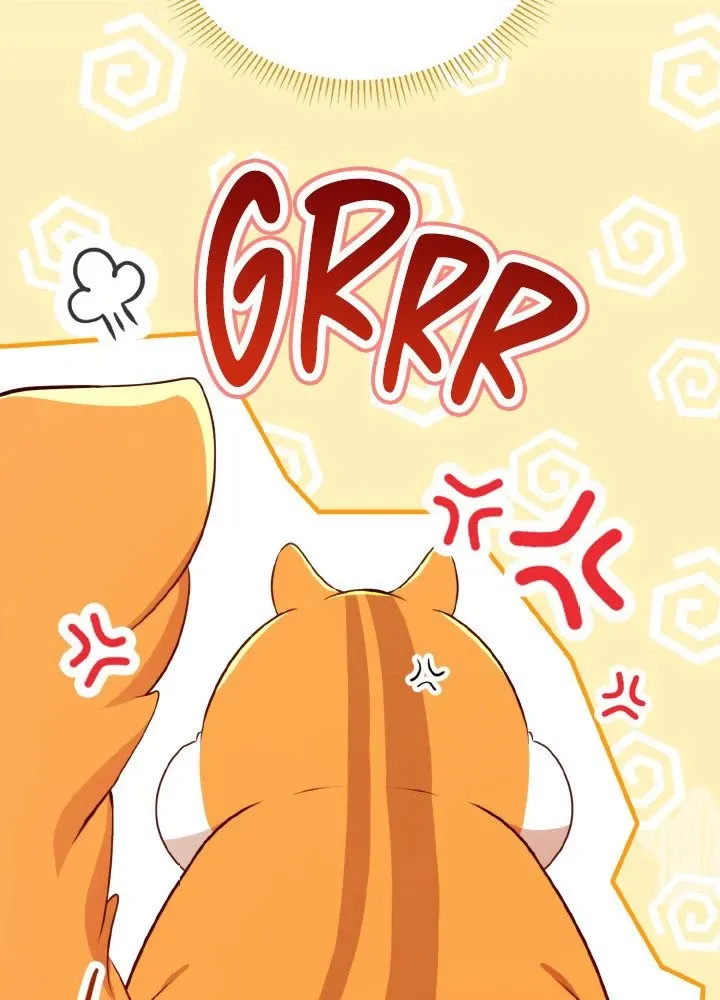 Read Talented Baby Squirrel FR Manga Online