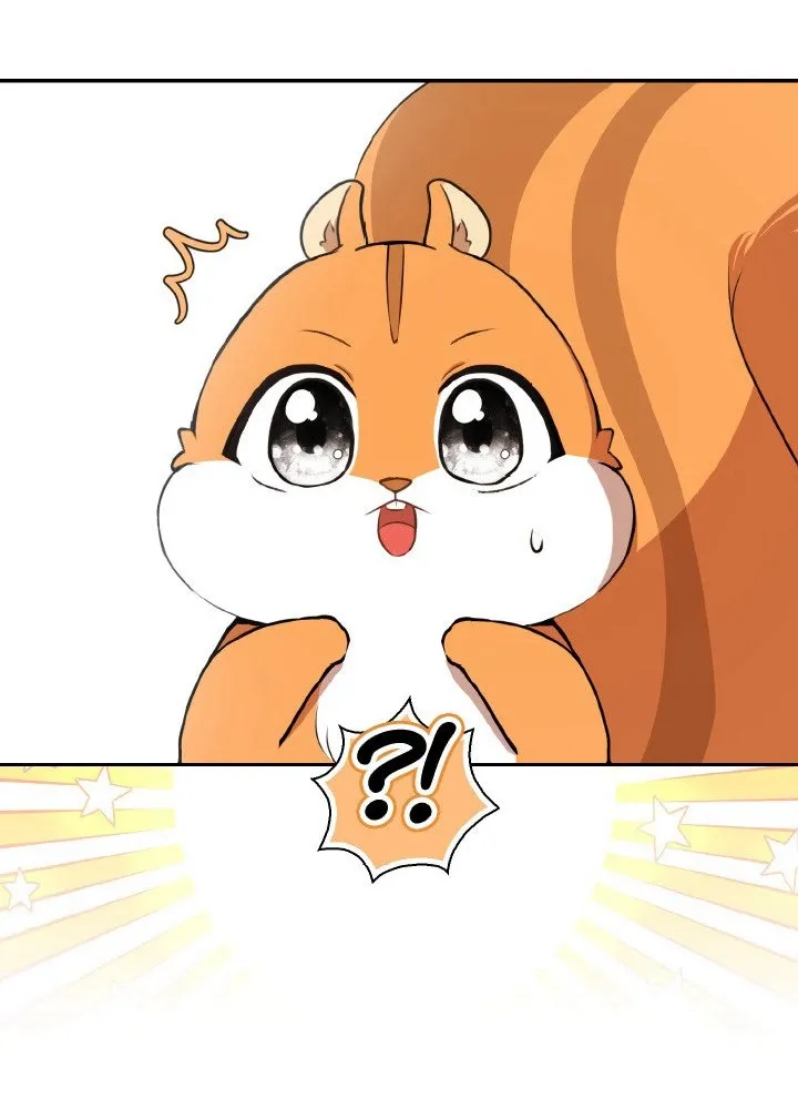 Read Talented Baby Squirrel FR Manga Online