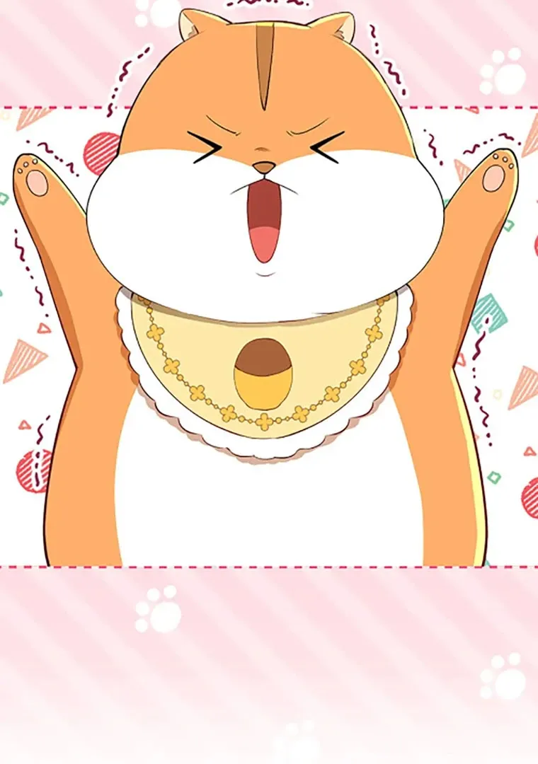 Read Talented Baby Squirrel FR Manga Online