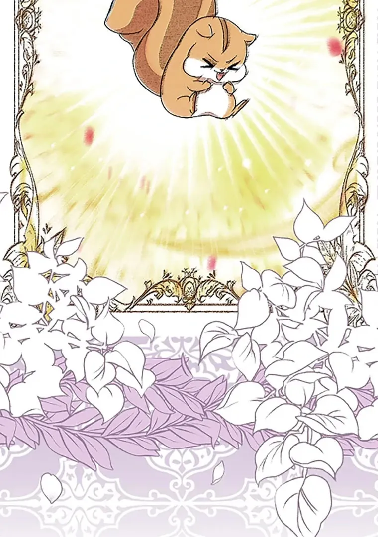 Read Talented Baby Squirrel FR Manga Online
