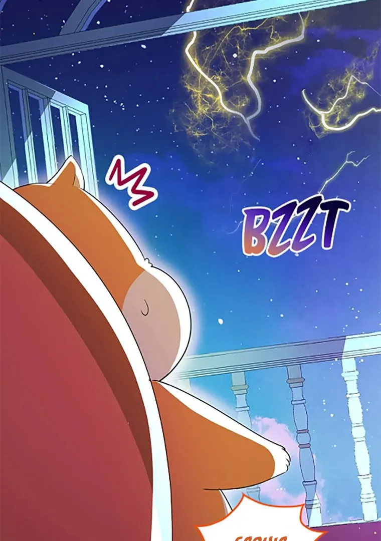 Read Talented Baby Squirrel FR Manga Online