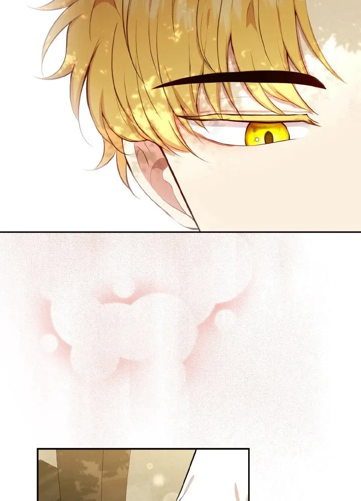 Read Talented Baby Squirrel FR Manga Online