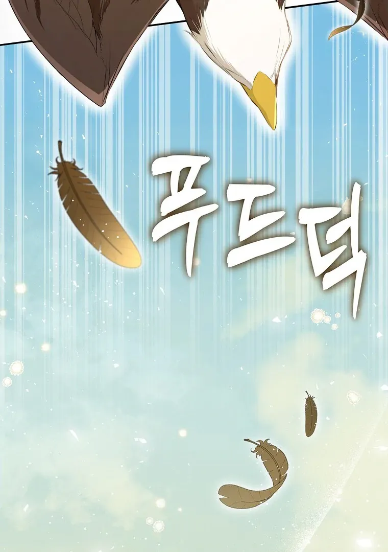 Read Talented Baby Squirrel FR Manga Online