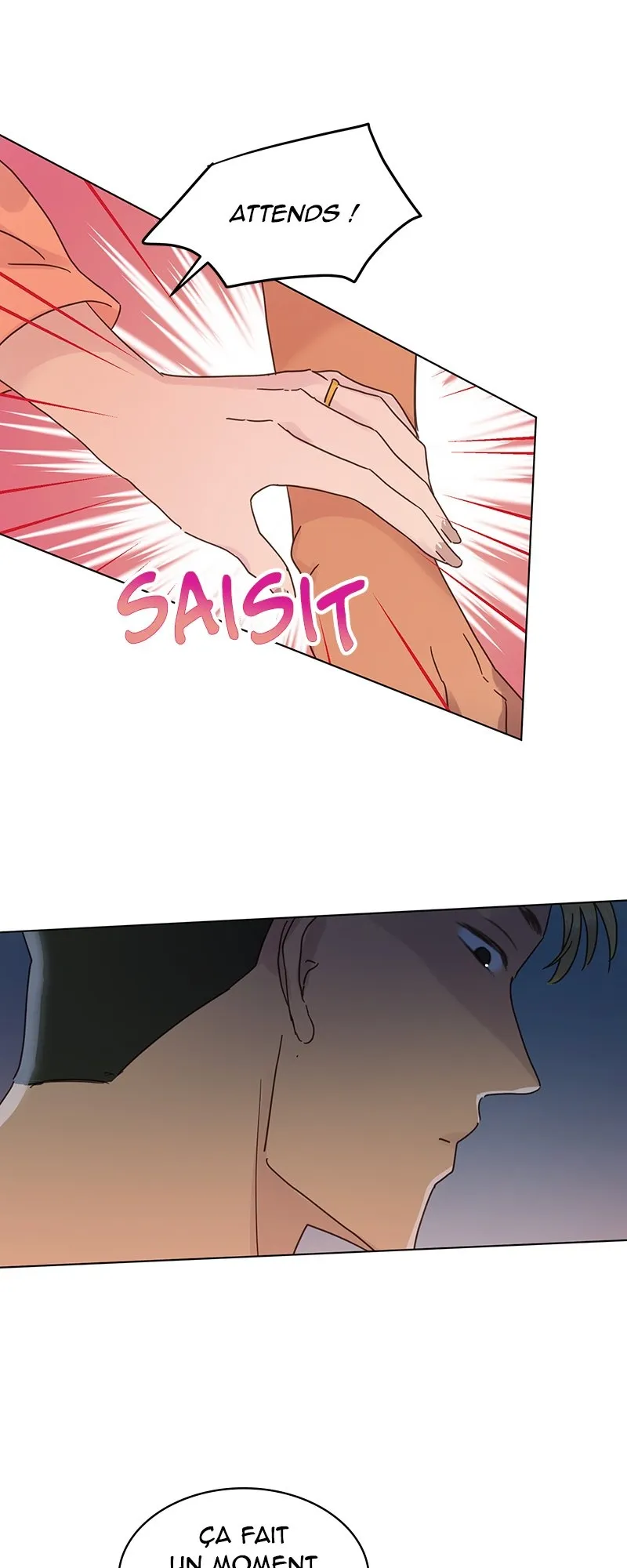 Read The Wife FR Manga Online