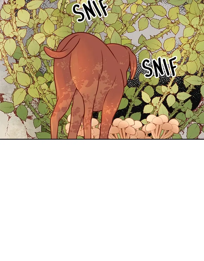 Read Wendy La Fleuriste FR Manga Online
