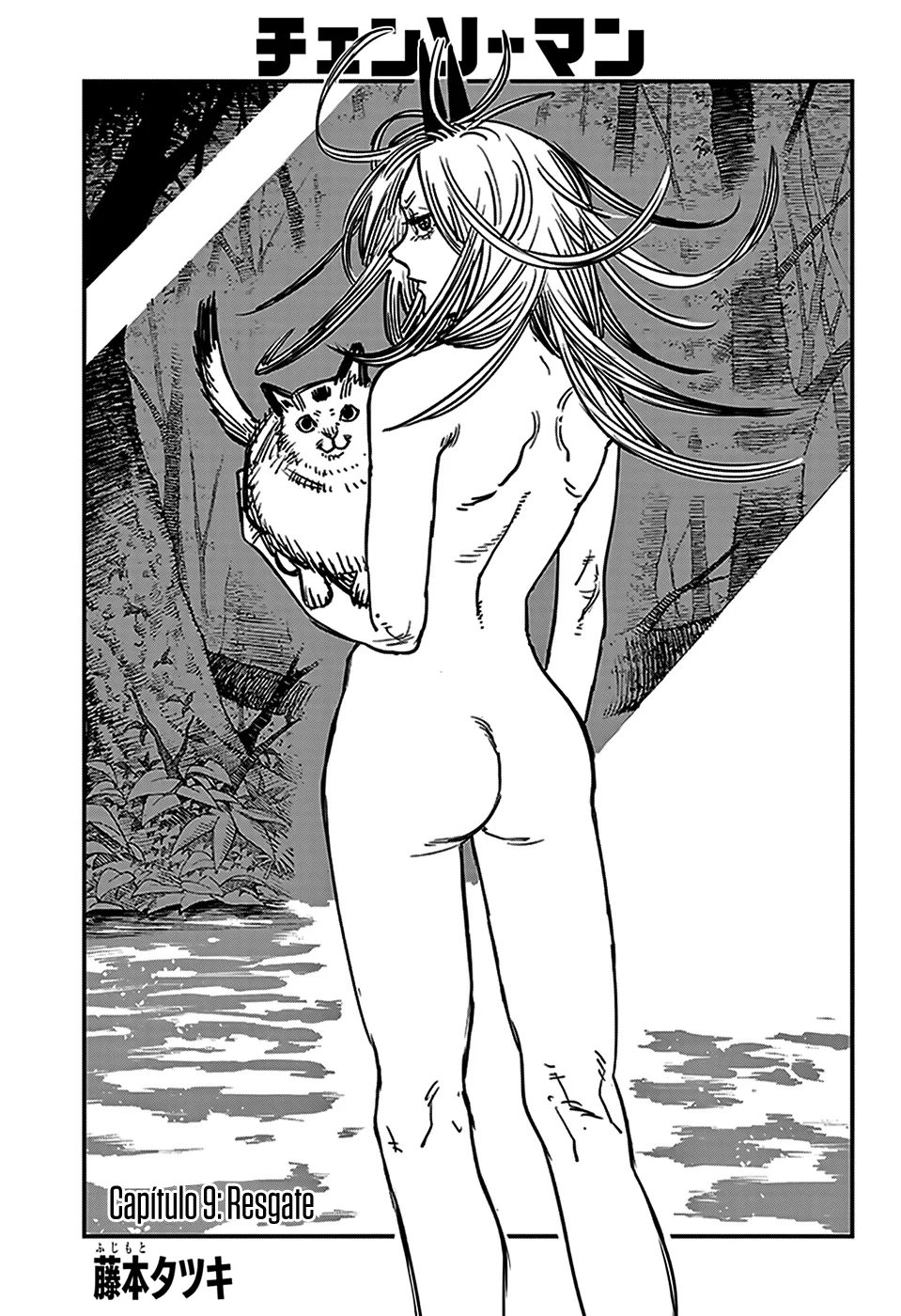 Read Chainsaw Man PT BR Manga Online