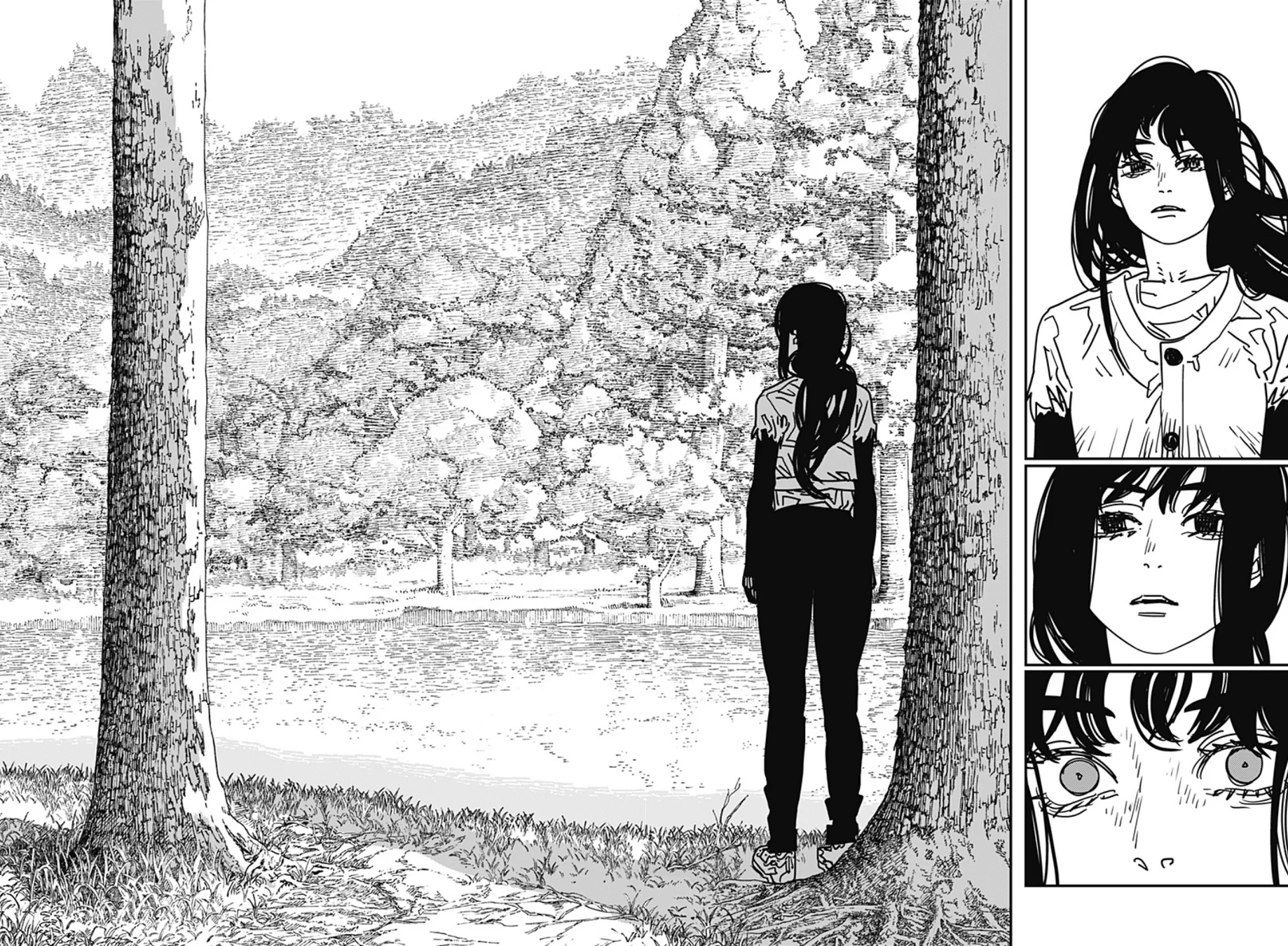 Read Chainsaw Man PT BR Manga Online