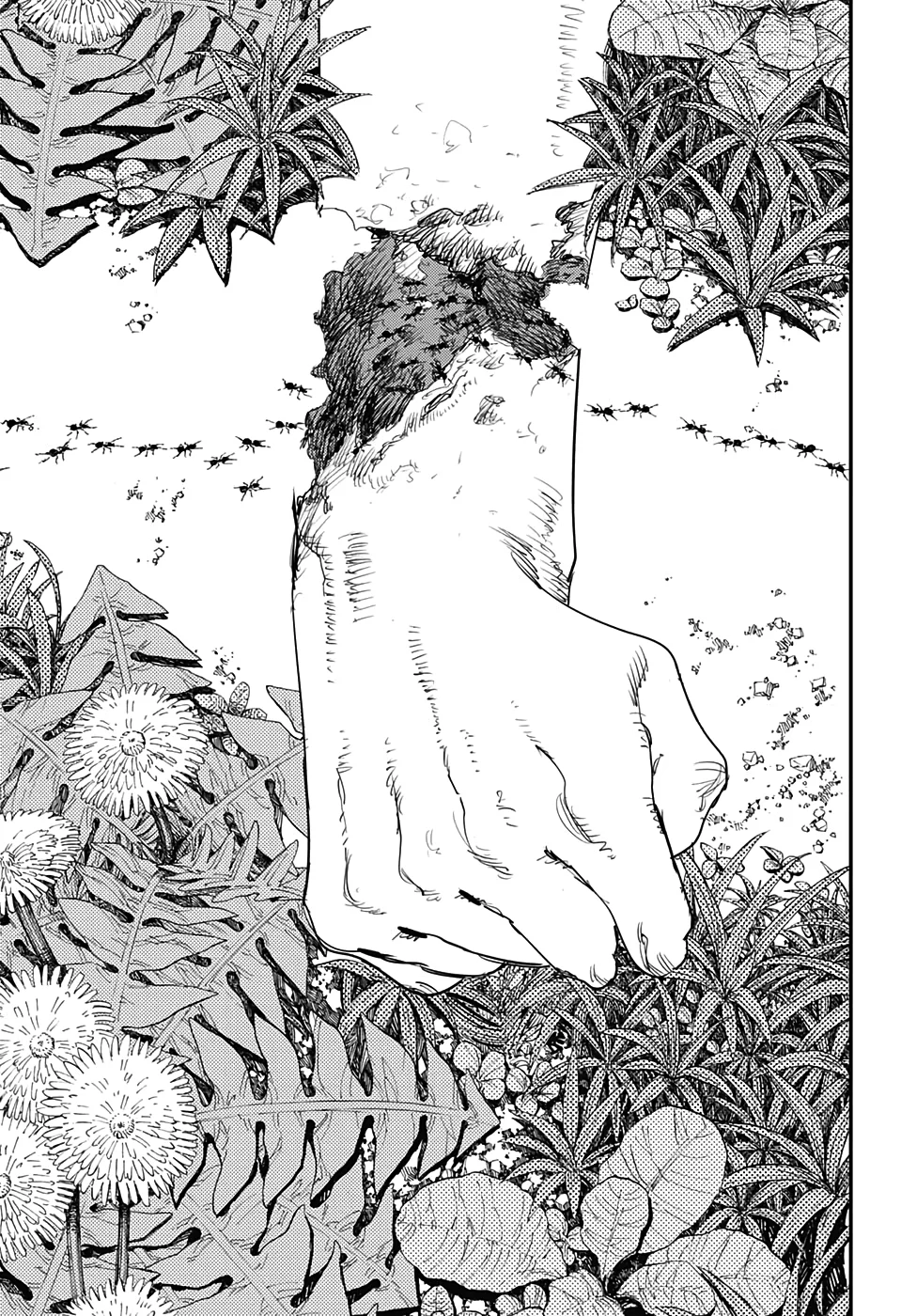 Read Chainsaw Man PT BR Manga Online