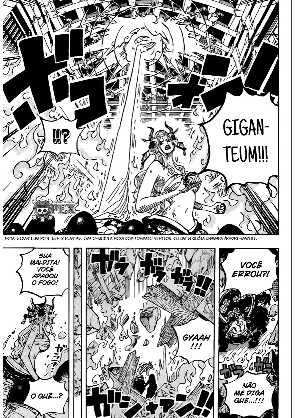 Read One Piece PT BR Manga Online