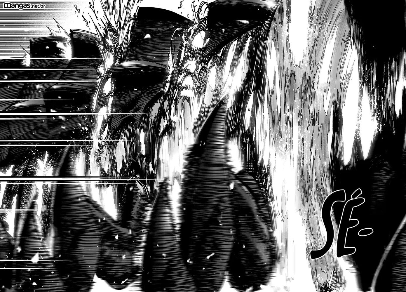 Read One Punch Man PT BR Manga Online